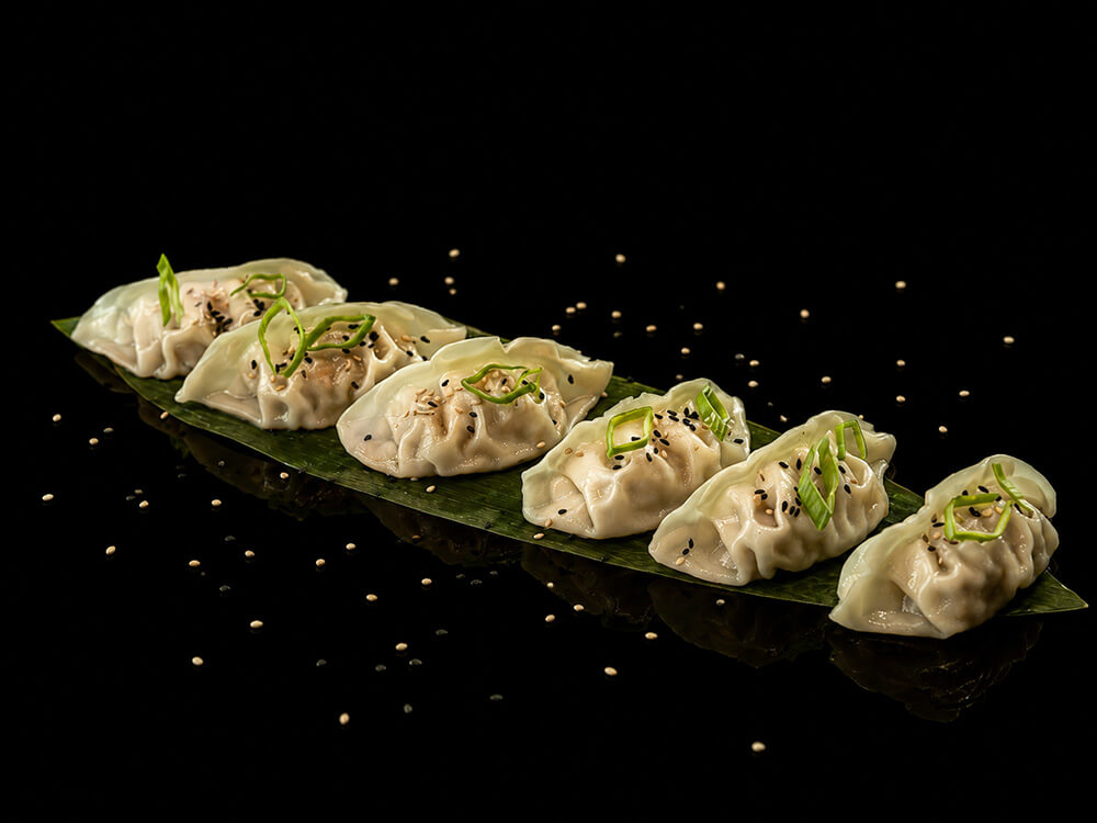 Gyoza Chicken & Vegetable